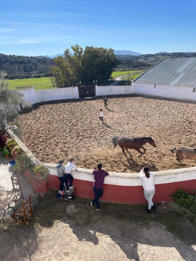 Casa Rural Finca De Las Encarnaciones Bajas Villanueva de San Juan Luaran gambar
